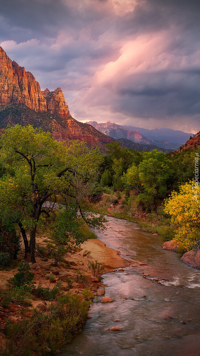 Rzeka Virgin River w Parku Narodowym Zion