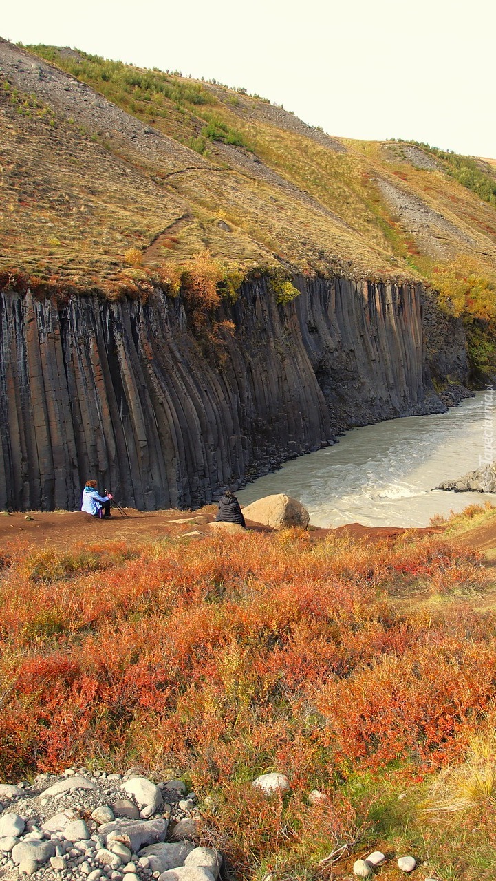 Rzeka w kanionie Studlagil w Islandii