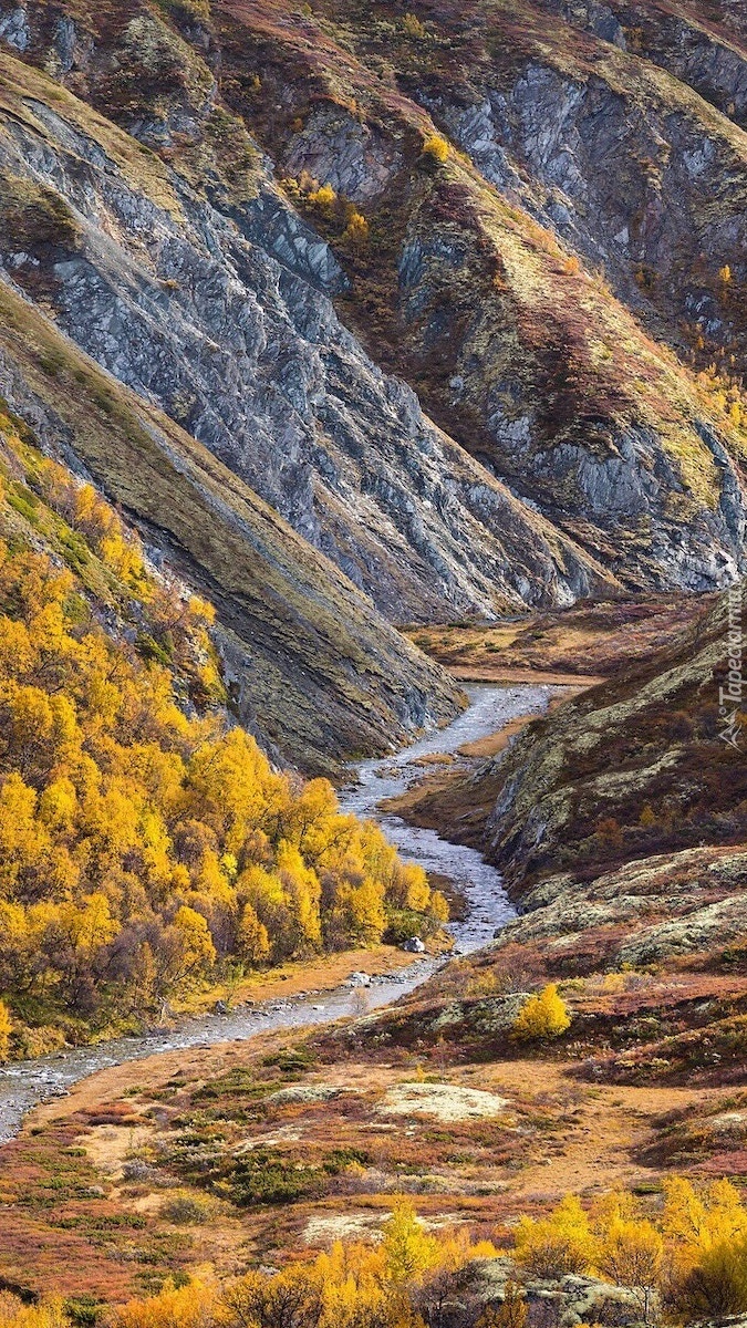 Rzeka w norweskim Parku Narodowym Rondane