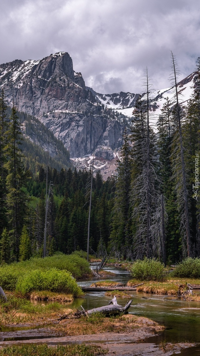 Rzeka w Parku Narodowym Grand Teton