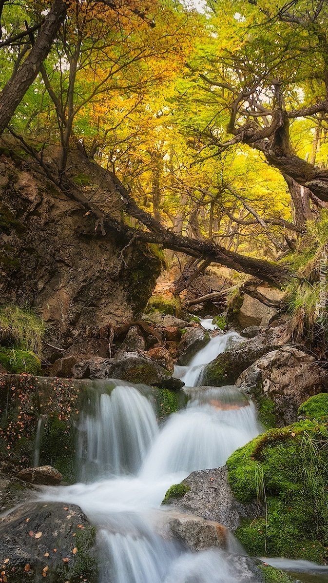 Rzeka w Parku Narodowym Los Glaciares