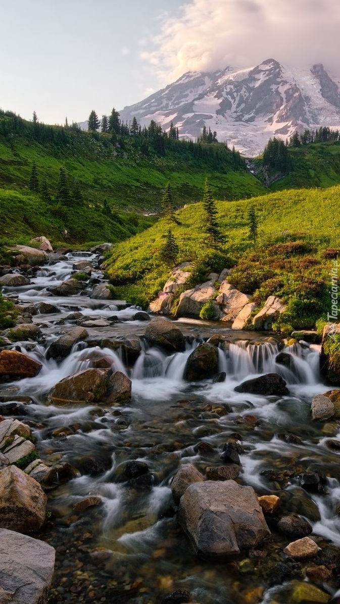 Rzeka w Parku Narodowym Mount Rainier