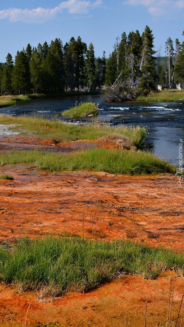 Rzeka w Parku Narodowym Yellowstone