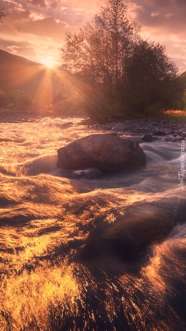 Rzeka w promieniach słońca