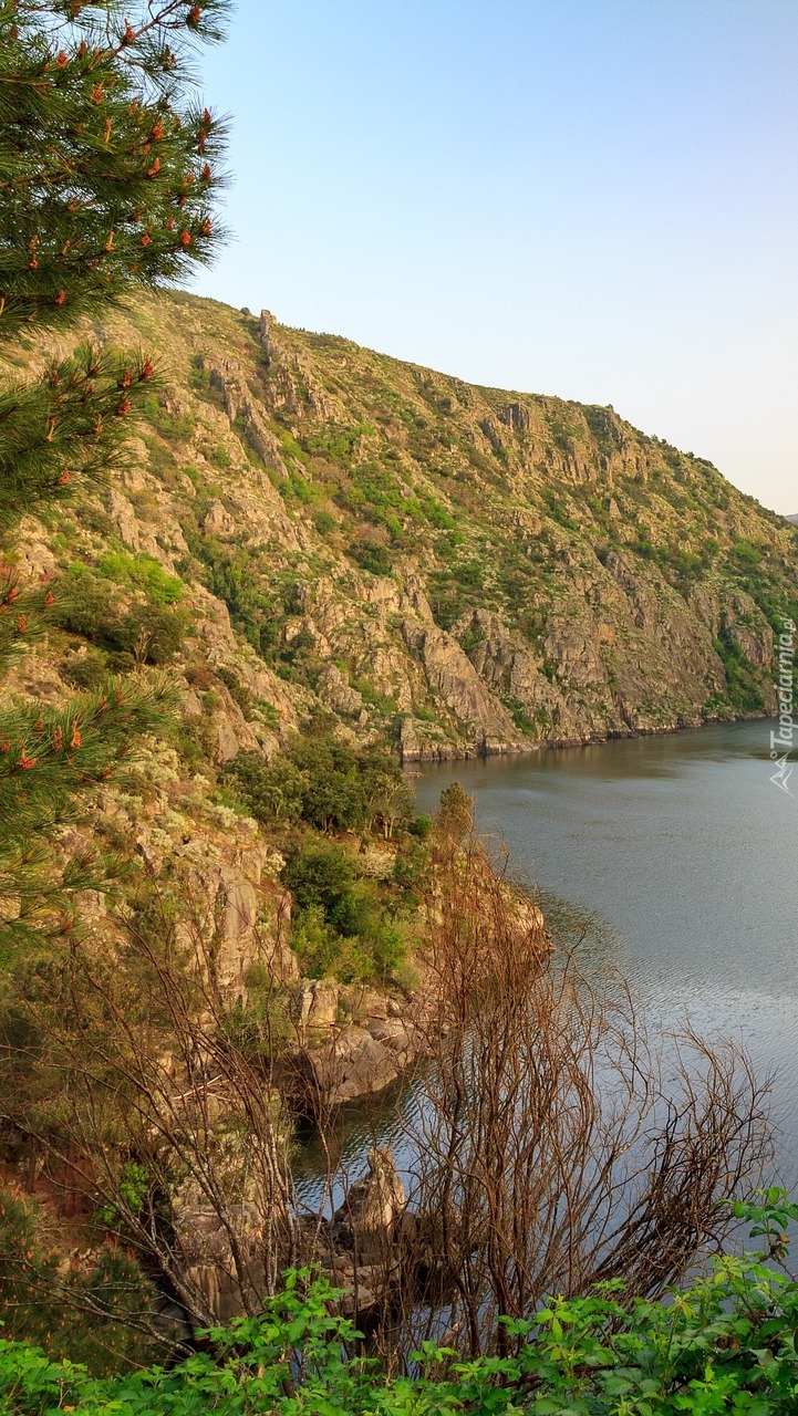 Rzeka w wąwozie Sil Canyon