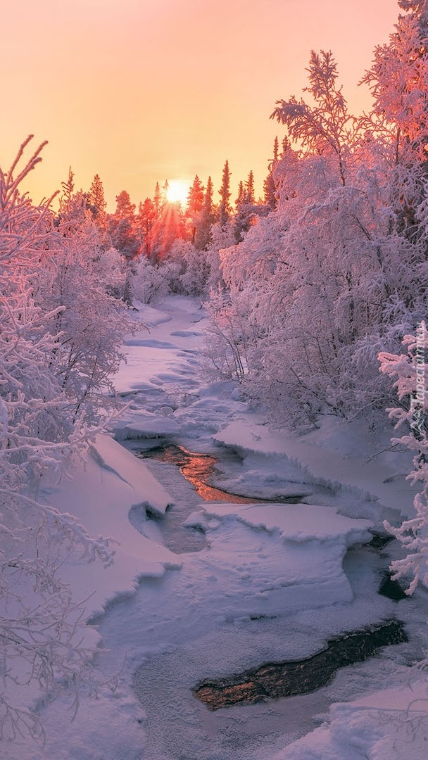 Rzeka w zimowym lesie