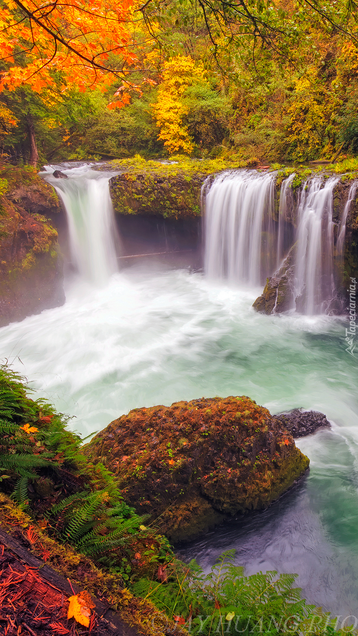 Rzeka White Salmon River z wodospadem Spirit Falls