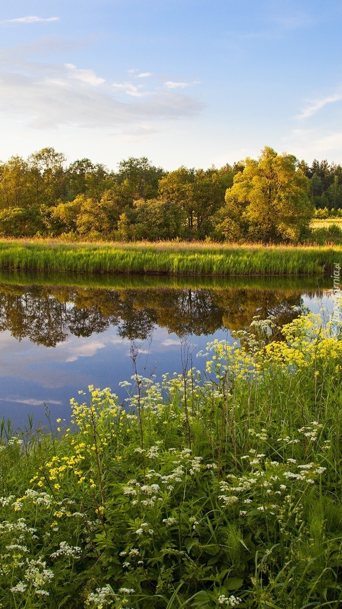 Rzeka wiosenną porą