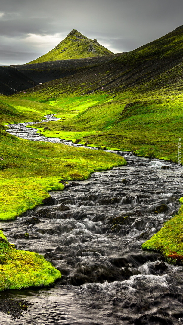 Rzeka wśród zielonych wzgórz Islandii