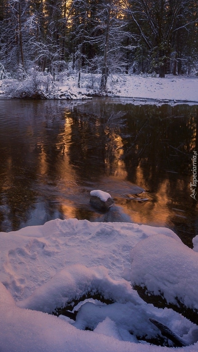 Rzeka zimową porą
