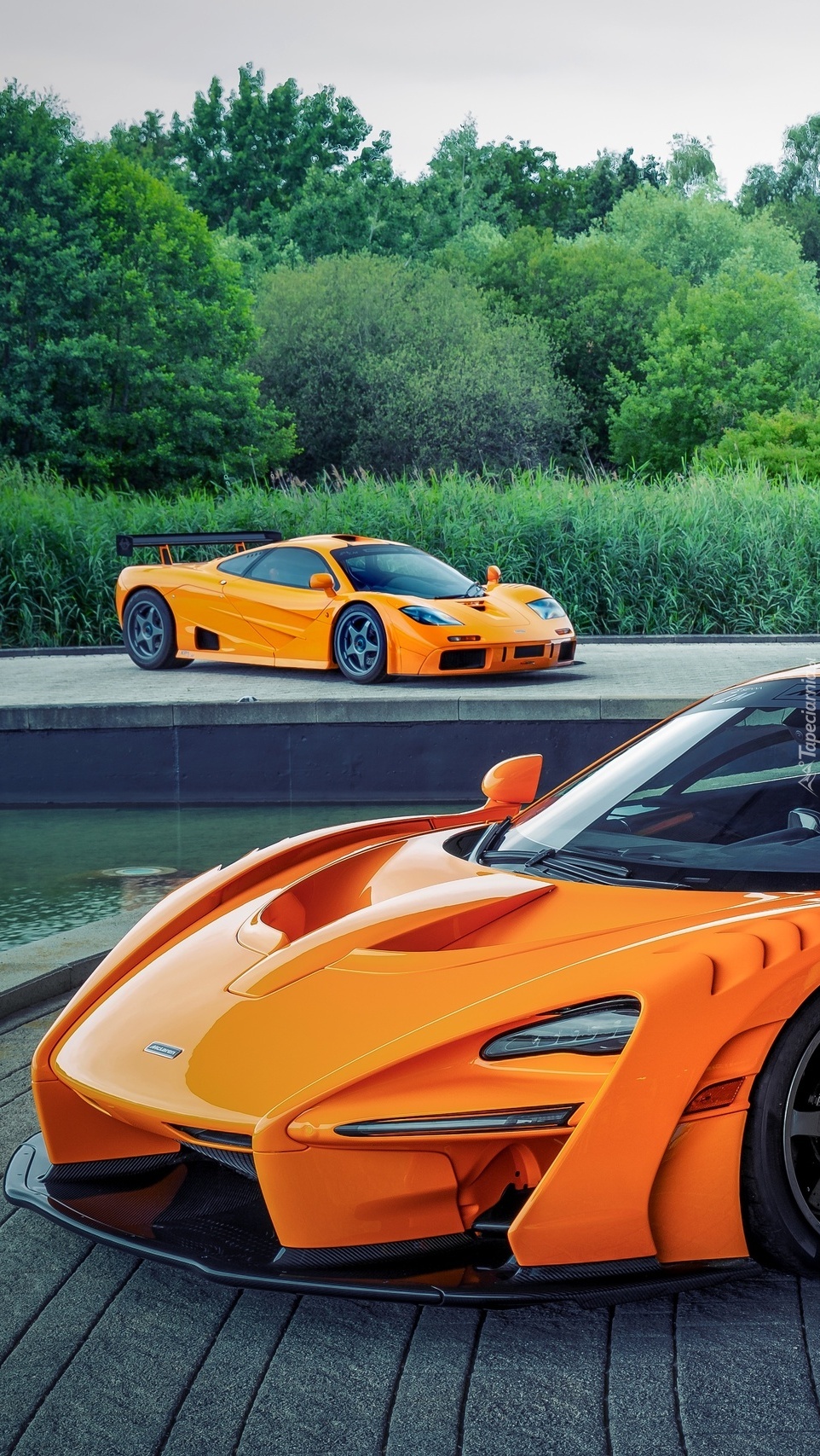 Samochody McLaren Senna LM