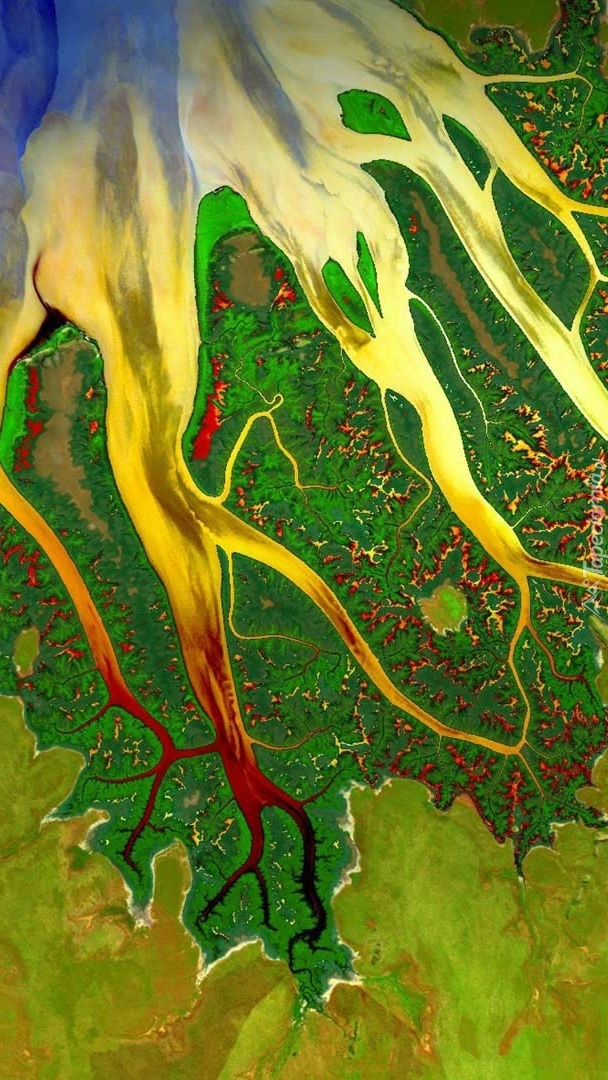 Satelitarne zdjęcie zatoki Cambridge Gulf