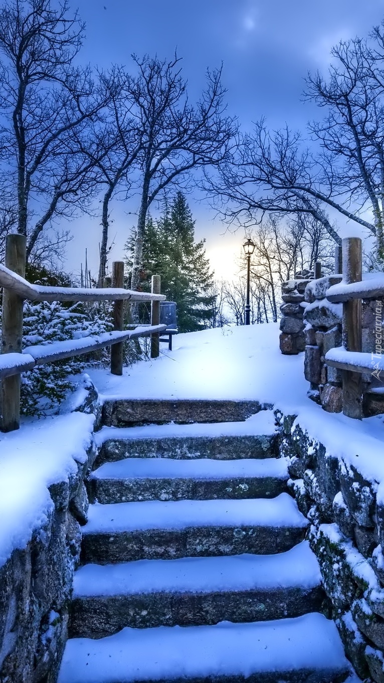 Schody w parku zasypane śniegiem