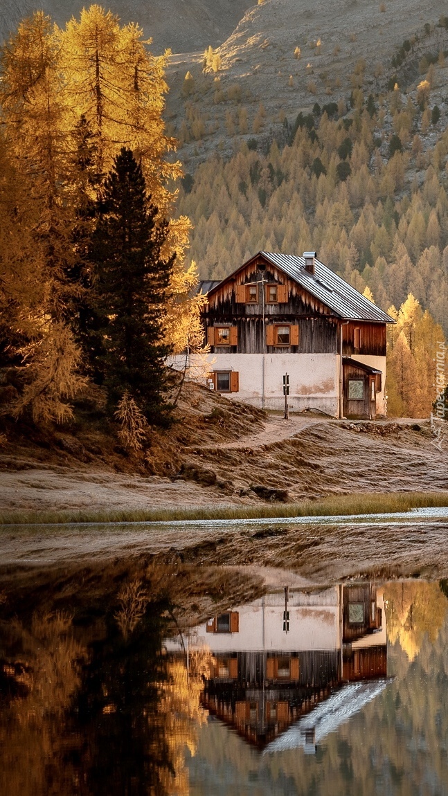 Schronisko nad jeziorem Lago Federa