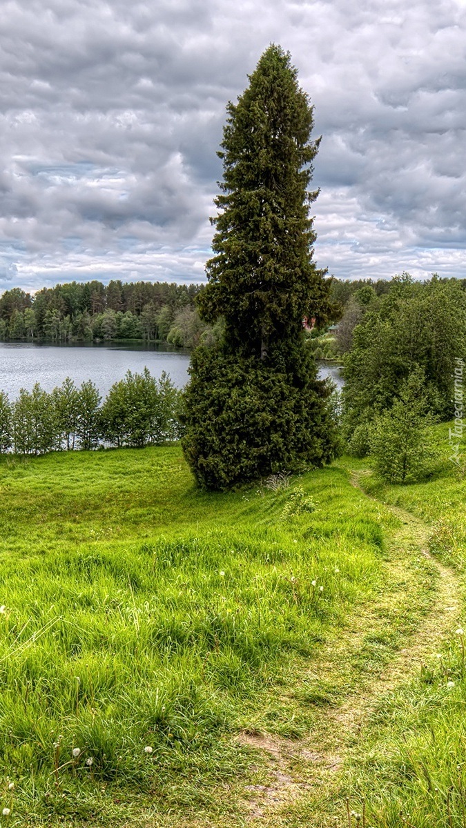 Ścieżka nad jezioro