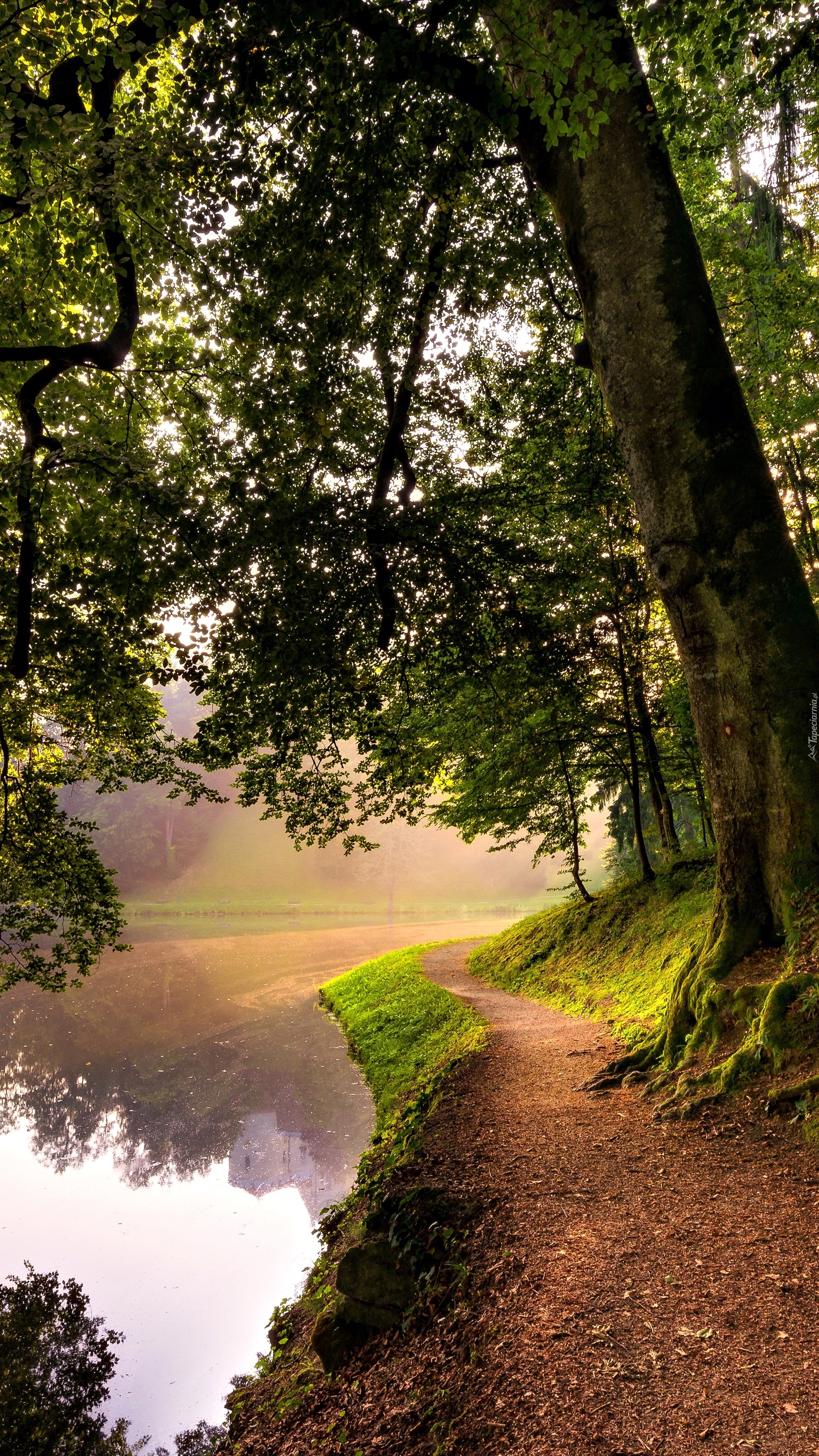 Ścieżka nad rzeką o poranku