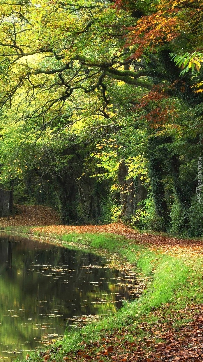 Ścieżka nad rzeką w parku