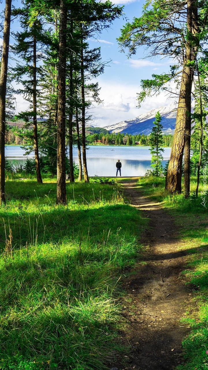 Ścieżka w lesie nad jeziorem