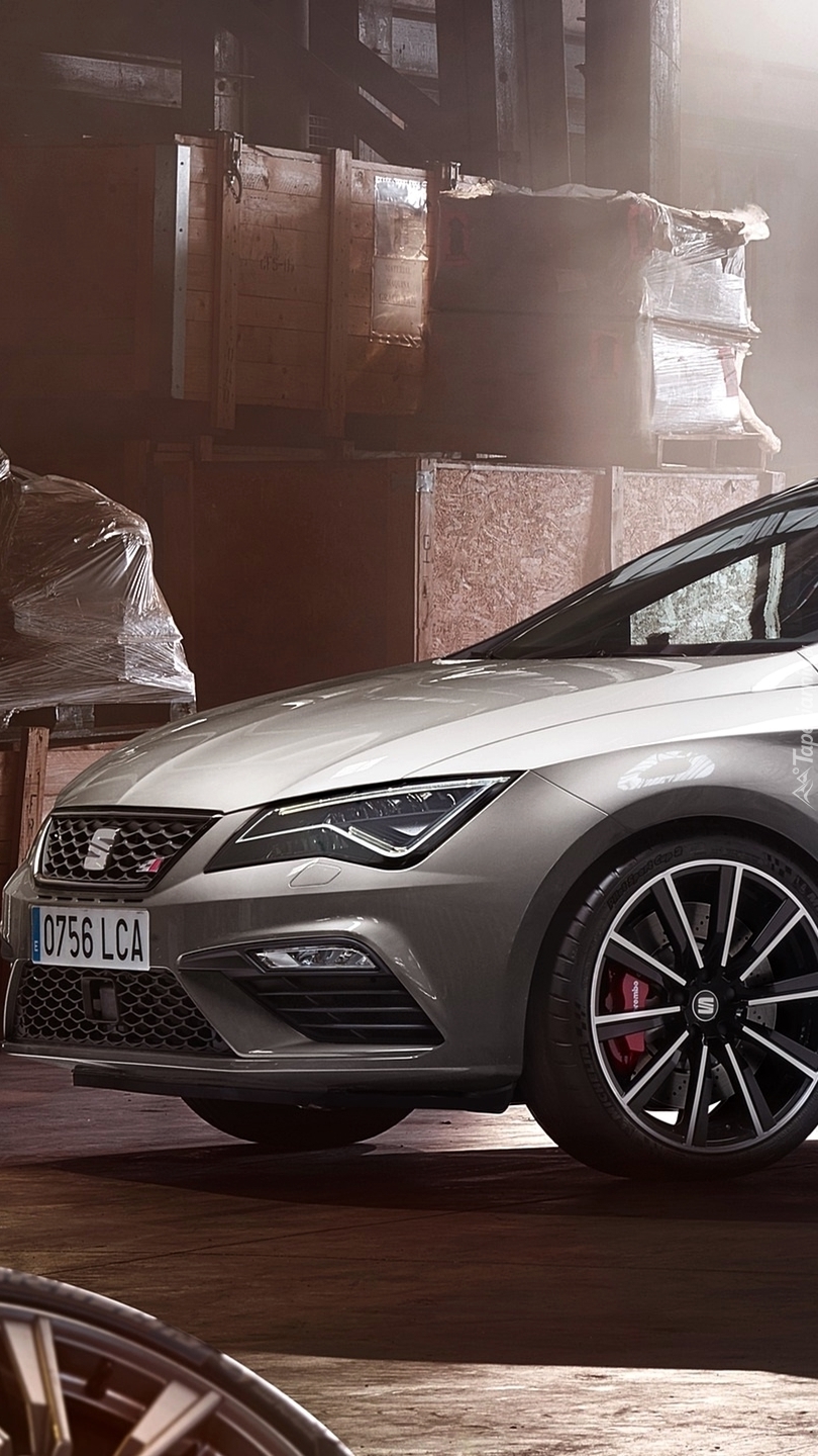 Seat Leon ST Cupra 300