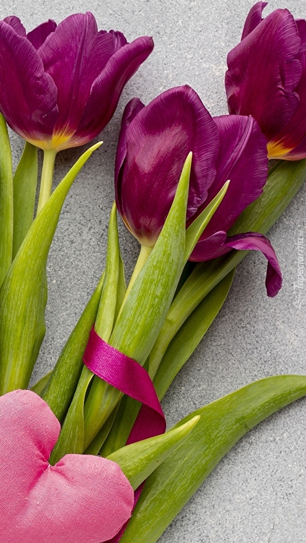 Serce na tulipanach