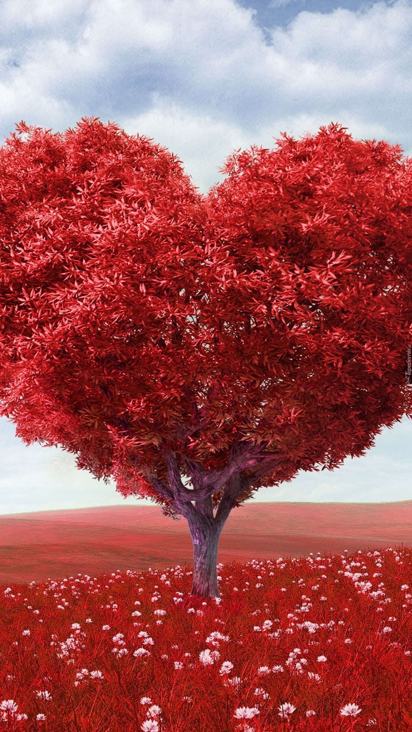 Serdeczne drzewo