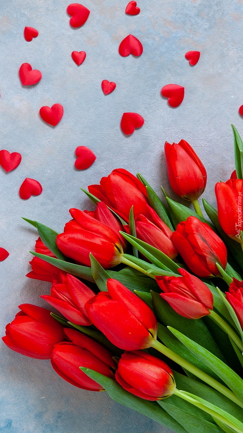 Serduszka obok czerwonych tulipanów