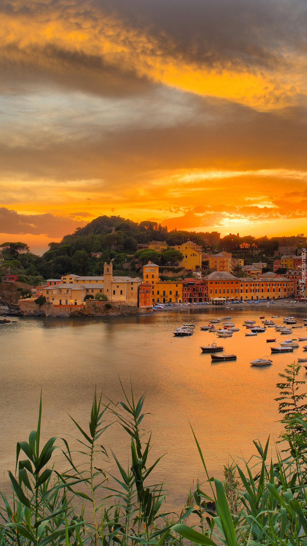 Sestri Levante o zachodzie słońca