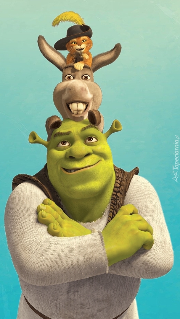 Shrek z osłem i kotem