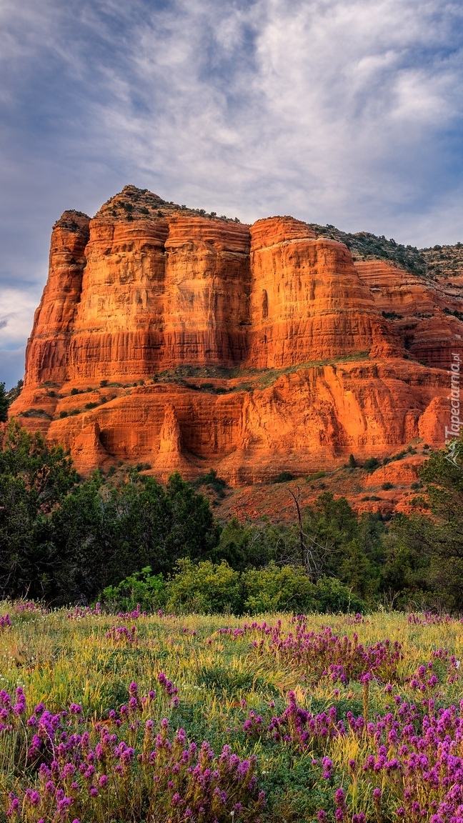 Skała Courthouse Butte