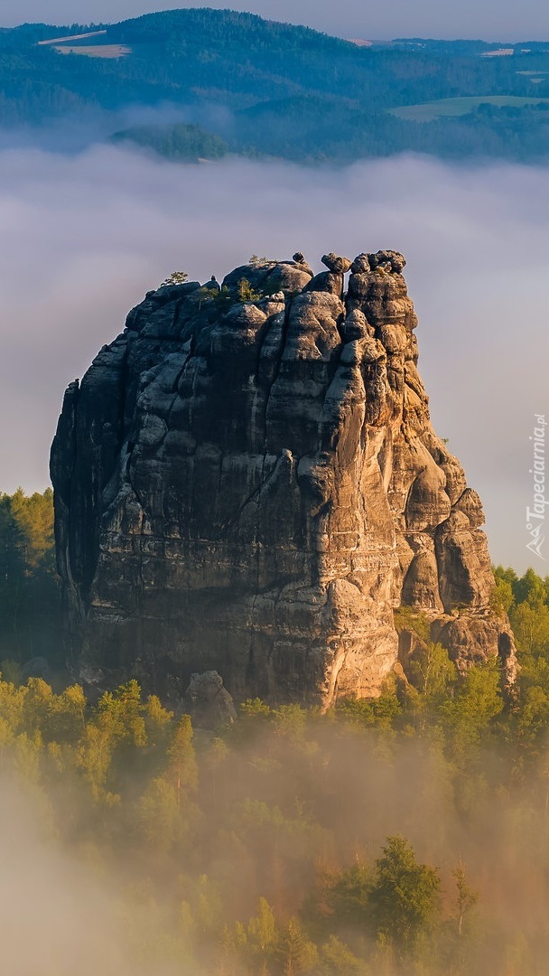 Skała Falkenstein