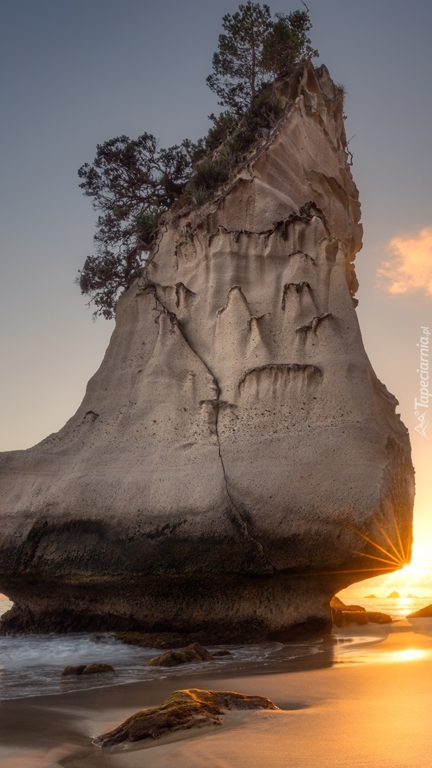 Skała Te Hoho Rock