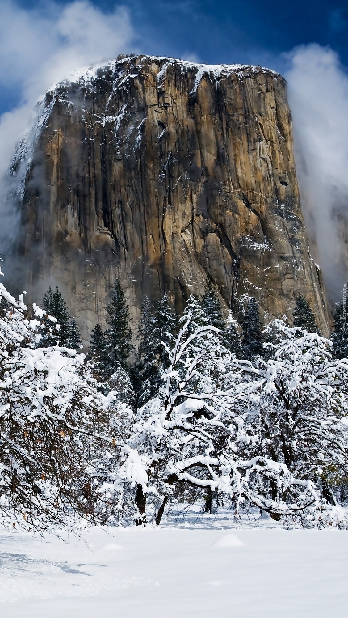 Skała w Parku Narodowym w Yosemite