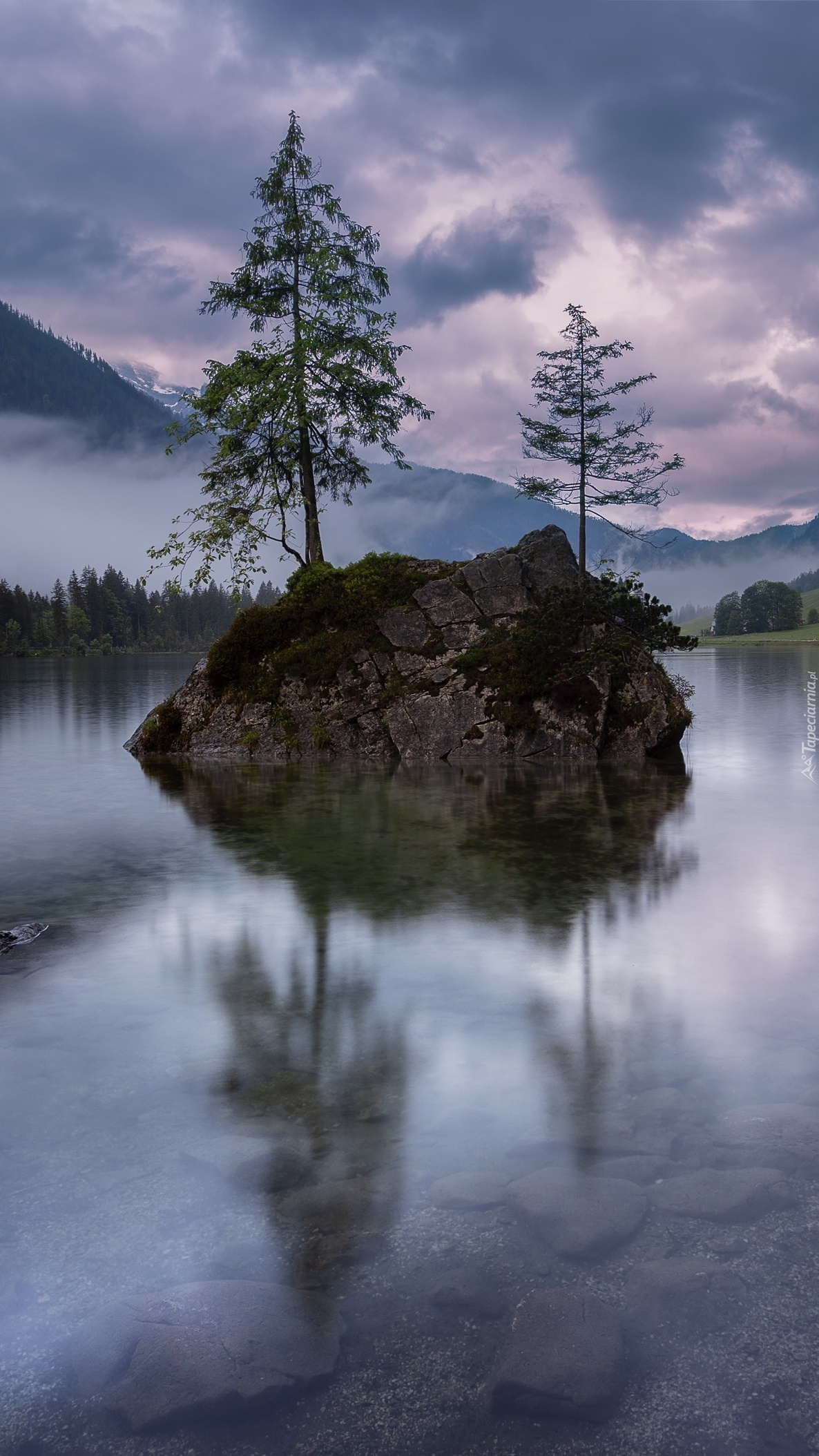 Skała z drzewami nad jeziorem Hintersee