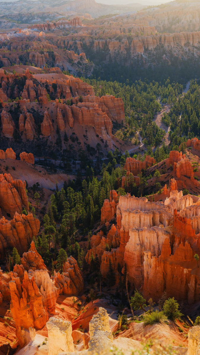 Skały i drzewa w Parku Narodowym Bryce Canyon w Utah