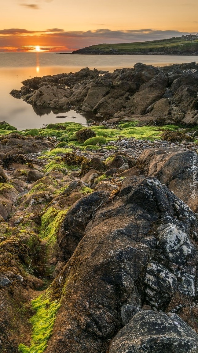 Skały i kamienie nad morzem o wschodzie słońca