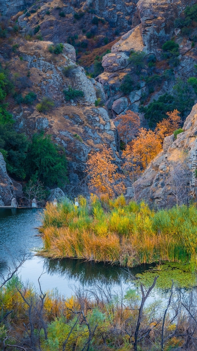 Skały i trawy nad rzeką Malibu Creek