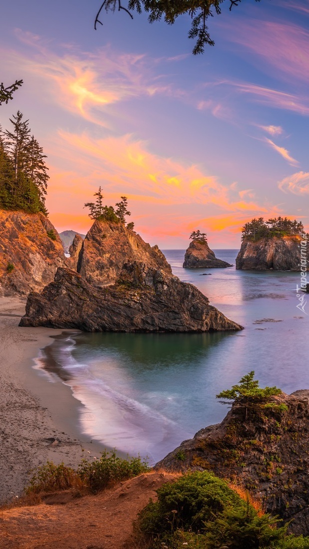 Skały na plaży Secret Beach w Oregonie