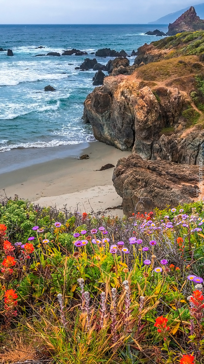 Skały na wybrzeżu w regionie Big Sur