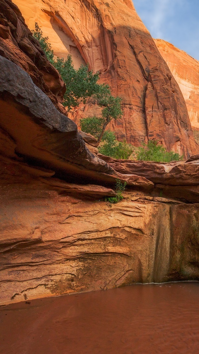 Skały nad rzeką Coyote Gulch w Utah