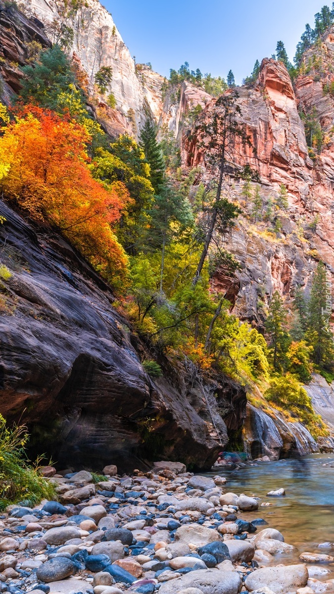 Skały nad rzeką Virgin River