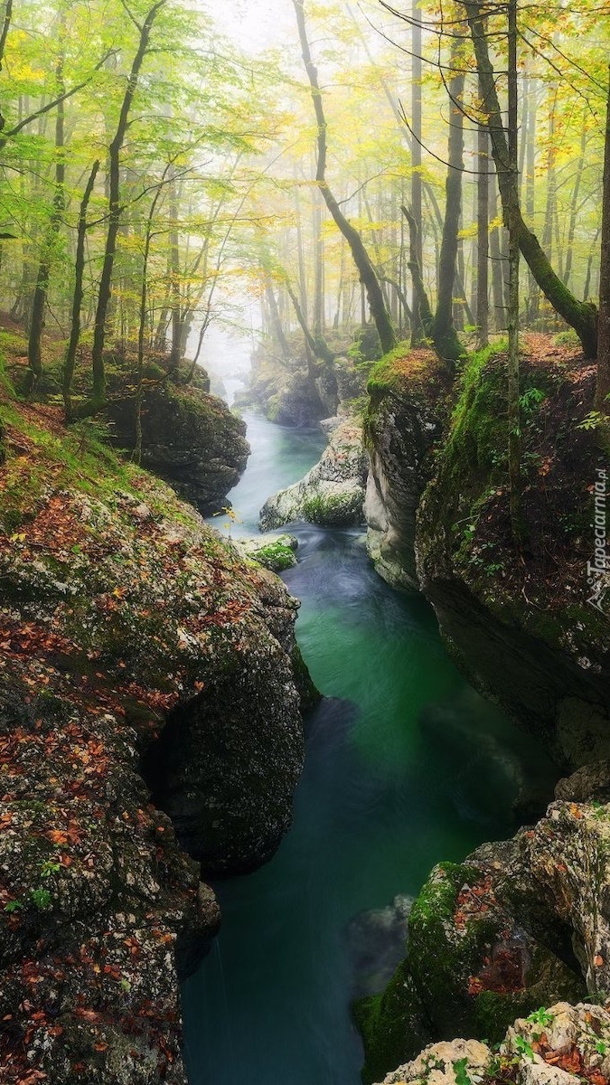 Skały omszałe nad rzeką