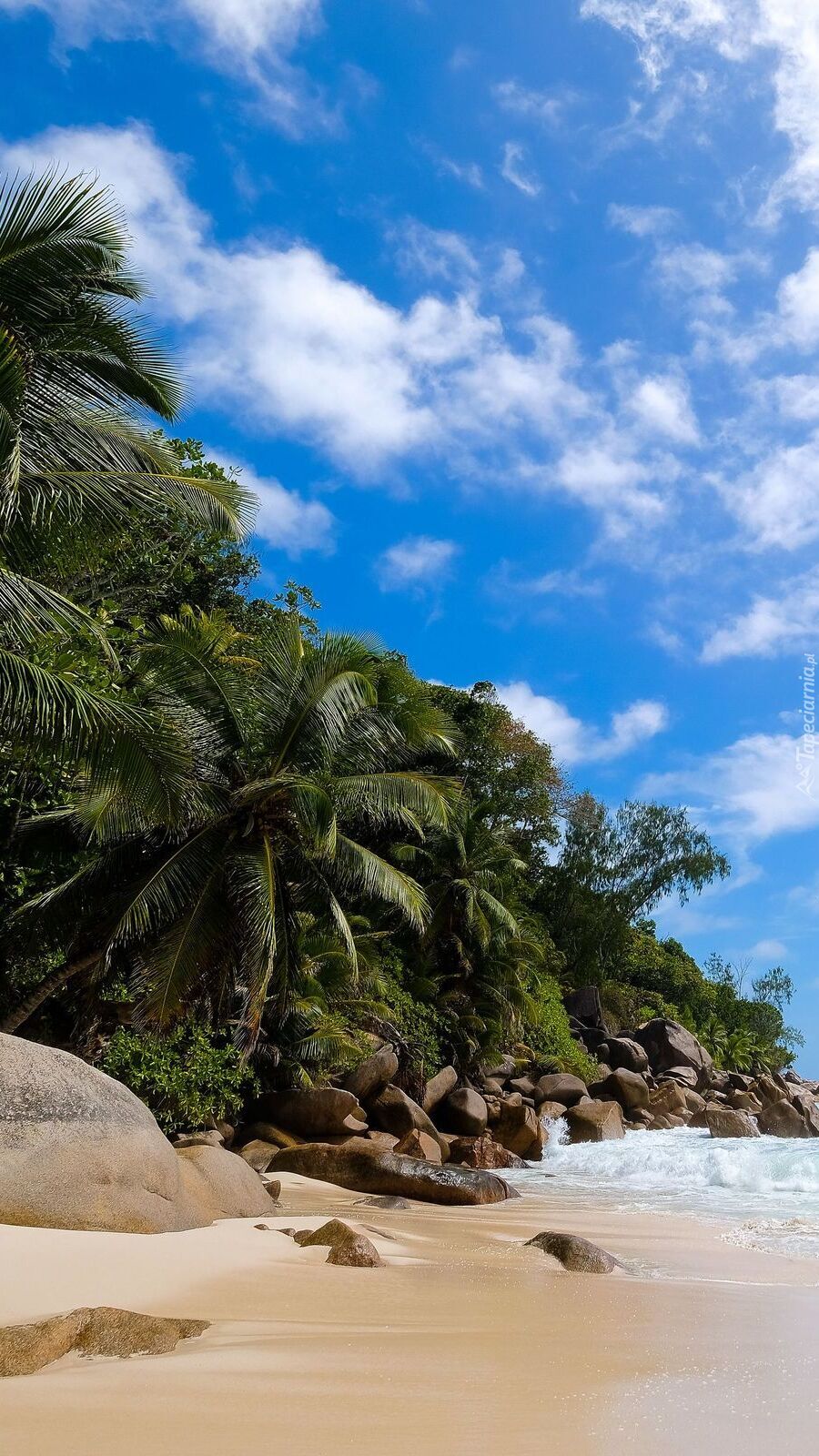 Skały pod palmami na plaży