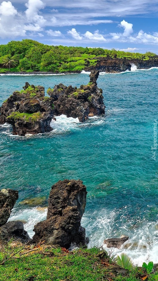 Skały w morzu na hawajskiej wyspie Maui