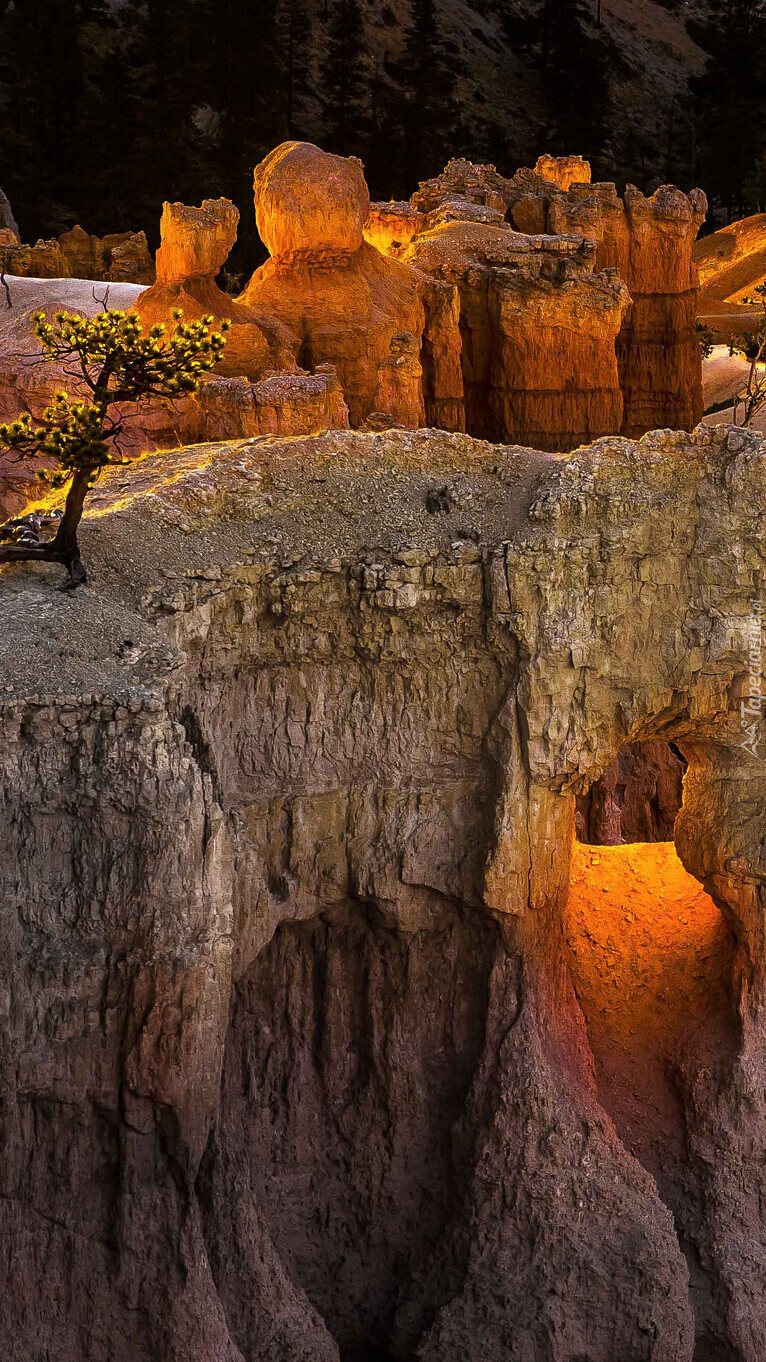 Skały w Parku Narodowym Bryce Canyon