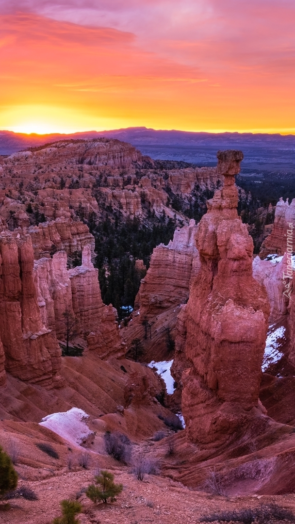 Skały w Parku Narodowym Bryce Canyon