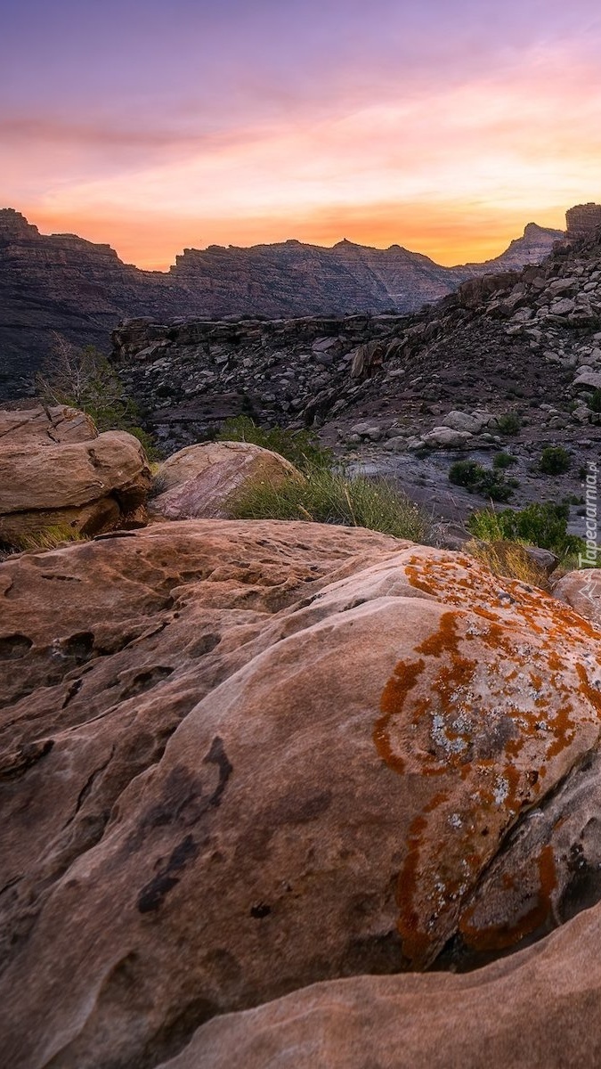 Skały w Parku Narodowym Canyonlands