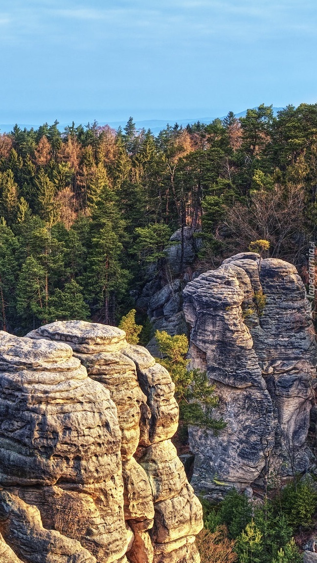 Formacje skalne Prachowskie Skały