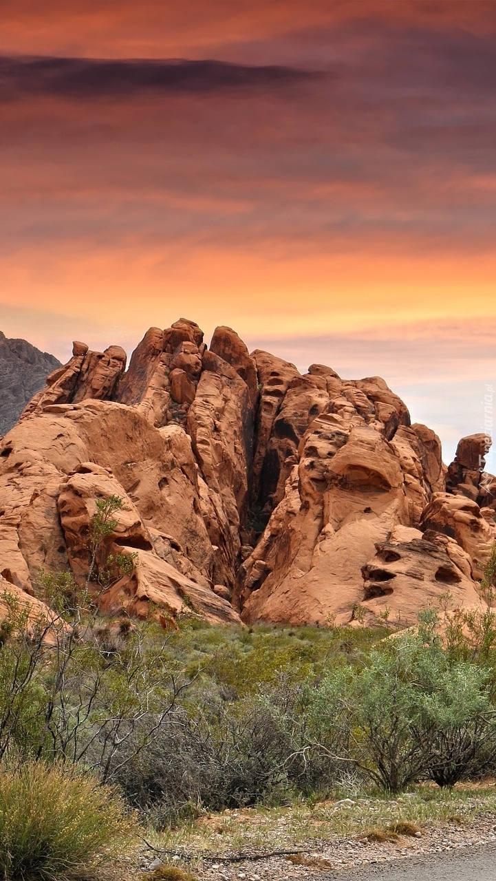 Skały w parku stanowym Valley of Fire w Nevadzie