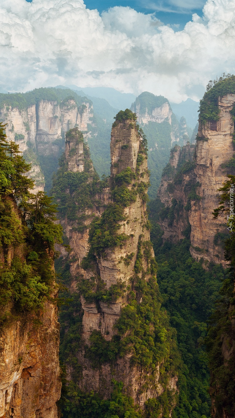 Skały w Zhangjiajie National Forest Park w Chinach