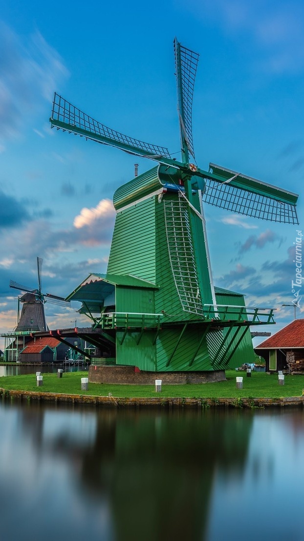 Skansen wiatraków w Zaandam